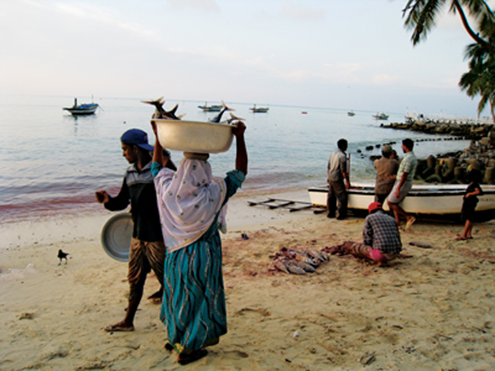 Livelihood and Changing Social Values in Lakshadweep